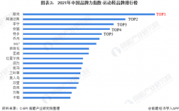 2013匹克主营收入（匹克2020年收入）