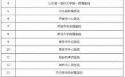 齐鲁医院收入（齐鲁医院收入交给山东省政府吗）