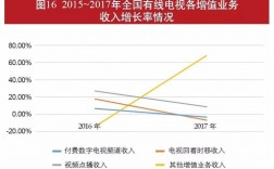 广电2013有线收入（广电部有线电视）