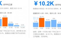 月薪电商收入（月薪电商收入怎么样）