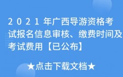 广西导游收入（广西导游收入多少）