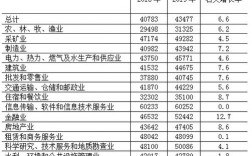 陕西中等收入标准（陕西省居民收入标准）