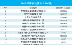 西安企业收入排名（西安收入高的企业）