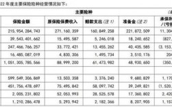 人保财险公司收入（人保财险工资福利待遇）