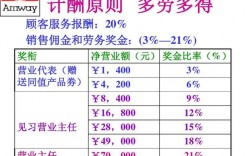 安利销售人员收入状况（安利营销人员的薪资）