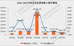 北京文化收入（北京文化营业收入）