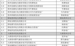 国电投贵州收入（国电投在贵州有多少发电厂）