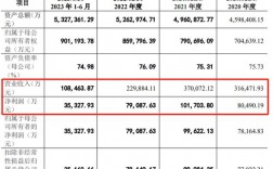 东莞证券收入（东莞证券员工工资标准）