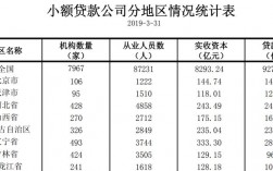 小贷公司收入（小贷公司收入多少）