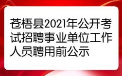 苍梧县事业编收入（苍梧县事业编收入怎么样）