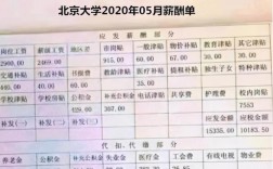 北大教师收入（北大老师工资有多少钱一个月最高）