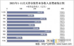 天津软件行业收入（天津软件行业收入怎么样）