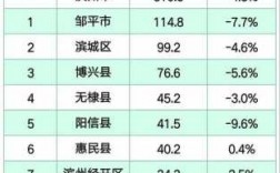 滨州市人均收入（滨州市2020年人均收入）