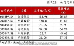 中鼎集团2018收入（中鼎集团市值）