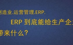 erp实施收入高吗（erp实施收入高吗知乎）