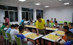 象棋老师收入（象棋老师一般什么水平）