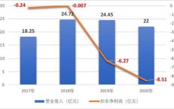 海南制药企业排名收入（海南制药企业排名收入前十）