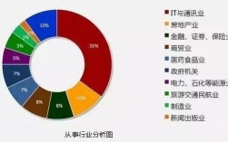 成都OPT的收入（成都it收入）