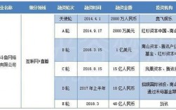 武汉斗鱼收入（武汉斗鱼网络公司）