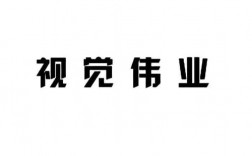 视觉伟业营业收入（视觉有限公司）