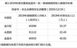 金昌2019农民收入（金昌2019财政收入）