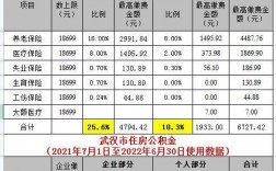 武汉收入（武汉收入最低标准）