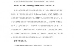 cfo.收入（coo收入）