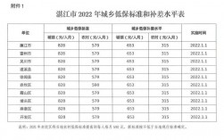 湛江的收入（湛江收入超过八千会取消低保吗）