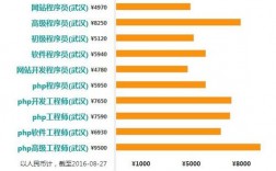 武汉程序员收入（武汉程序员工资水平）