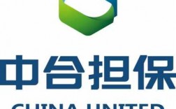 中合担保收入（中合担保公司怎样）