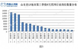 济南外企IT收入（济南it行业薪资）