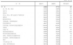 人民网记者收入（人民网记者工资）