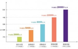 重庆会计综合收入（重庆会计综合收入怎么样）