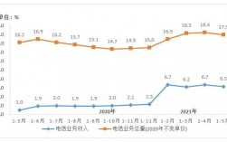 上海电信收入高吗（上海电信业务收入）