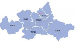 泰山人均收入（泰山区人均收入）