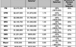 新加坡精英收入（新加坡精英收入怎么样）