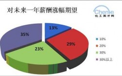 薪酬收入期望（对于薪酬的期望是什么）