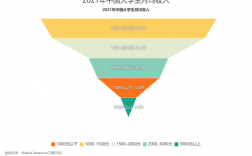 大学生收入数据（大学生收入数据分析报告）