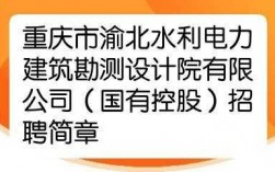 重庆电力设计收入（重庆电力设计收入怎么样）