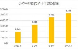 南京护士工资收入（南京护士工资待遇）