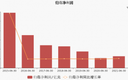 汇鸿年收入（汇鸿集团2021年盈利情况）