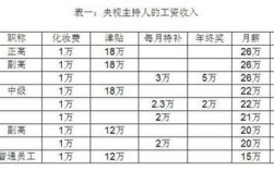 个人站长收入来源（个人站长收入来源怎么写）