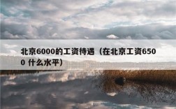 6500块收入在北京（北京月入6000什么水平）