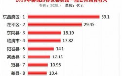 聊城财政收入2015（聊城市一般财政预算2019）