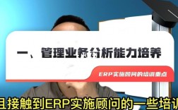 erp实施顾问收入（erp实施顾问工资薪酬）