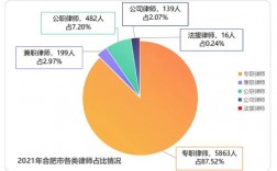 合肥律师人均收入（合肥律师平均收入）