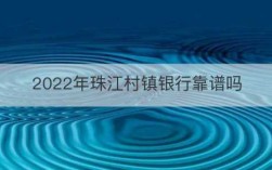 珠江村镇银行收入（珠江村镇银行资产规模）