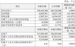 苏宁金服收入（苏宁金服2020年上半年业绩）