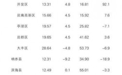 盐城开发区收入（盐城开发区财政收入）