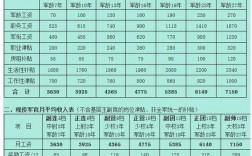 19年军官收入（军官工资收入）